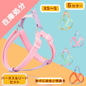 【スーパーセール10％OFF】【在庫限り】 犬 猫 Y型 ハーネス リード セット小型犬 中型犬 大型犬 おしゃれ かわいい 脱げない 柴犬 ロック 胴輪 介護 ハンドル ペット 散歩 補助 送料無料 はーねす 首輪 子犬 超小型犬 成犬用 愛犬 リード 老犬 いぬ イヌ ワンチャン