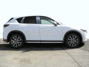 ynCNIeB[zKFEP/KF5P/KF2P@CX-5@XeX@s[@wACubN@INVENTER/grow/s[pl/bLs[/ԃp[c/