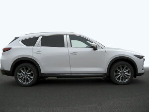 �y�n�C�N�I���e�B�[�zKG2P�@CX�|8�@�X�e�����X�@�s���[�@�w�A���C���@INVENTER/grow/�s���[�p�l��/���b�L�s���[/�ԃp�[�c/����