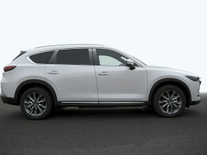 �y�n�C�N�I���e�B�[�zKG2P�@CX�|8�@�X�e�����X�@�s���[�@�w�A���C���u���b�N�@INVENTER/grow/�s���[�p�l��/���b�L�s���[/�ԃp�[�c/����