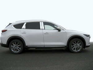 �y�ŋ��ʁzKG2P�@CX�|8�@�X�e�����X�@�s���[�@����HYPER�@INVENTER/grow/�s���[�p�l��/���b�L�s���[/�ԃp�[�c/����