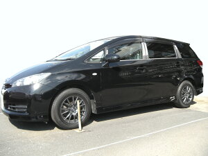 �y�ŋ��ʁzZGE20�@�E�B�b�V���@�X�e�����X�@�s���[�@����HYPER�@INVENTER/grow/�s���[�p�l��/���b�L�s���[/�ԃp�[�c/����