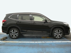 ynCNIeB[ztHX^[@SK9/SKE@XeX@s[@wACubN@INVENTER/grow/s[pl/bLs[/ԃp[c/