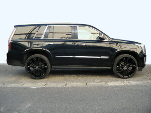 ynCNIeB[zGXJ[h@GMTK2XL@XeXs[wACubN@INVENTER/grow/s[pl/bLs[/ԃp[c/