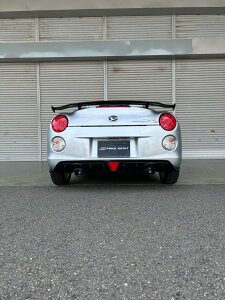 ytFCNGCgzLA400K@RyZ@AfBtF[U[K[jbV@TYPE-CS@hς݁@