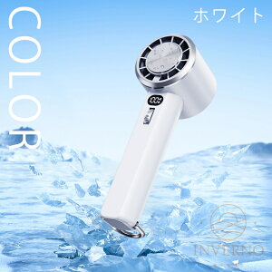 INVERNO y2024ViznfBt@ p  @ 莝 gѐ@ 100iK p[h ^@ nfB@ 莝@ ~j@ USB É y DC[^[ ΍ ԉΑ