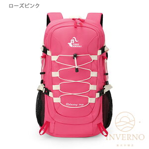 h bNTbN bN e 傫 rbOTCY bNTbN  傫 傫 Y fB[X obNpbN k  ЊQ o 40bg ڗF hАF y