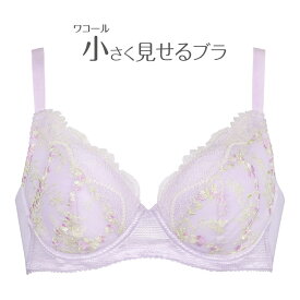 クール 関与する ミルク ワコール 小さく 見せる ブラ フル カップ ブラ Code Plus Jp