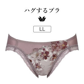 【20％OFF】ワコール ハグするブラ BRB498シリーズ スタンダードショーツ LL PRA198