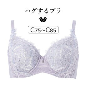 【20％OFF】ワコール ハグするブラ BXB418シリーズ コンパクトメイク ブラジャー単品 フルカップ Cカップ アンダー75/80/85cm BXB318