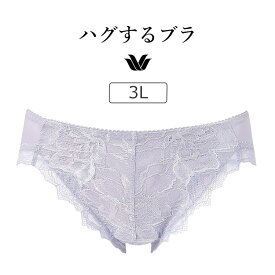 【20％OFF】ワコール ハグするブラ BXB418シリーズ スタンダードショーツ ハイレッグ ローライズ 3L PXB118