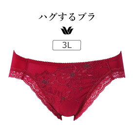【20％OFF】ワコール ハグするブラ BXB478シリーズ スタンダードショーツ はきこみ丈 あさめ ローライズ 3L PXB178