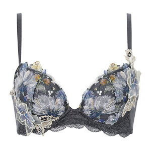 �y25��OFF�z ���R�[�� �v���~�A�� 26series BXD426�V���[�Y �{�����[�}���C�Y�u�� �u���W���[�P�i DEF�J�b�v �A���_�[ 65/70/75cm BXD726