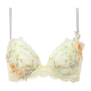 �y25��OFF�z ���R�[�� �v���~�A�� 26series BXD426�V���[�Y �{�����[�}���C�Y�u�� �u���W���[�P�i G�J�b�v �A���_�[ 65/70/75cm BXD726