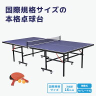 【全品P5倍!20時から4時間限定】卓球台 国際規格サイズ セパレート式 天板厚16mm 専用ネット付 キャスタ…