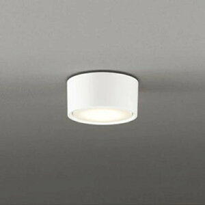 �I�[�f���b�N OL291448LDR LED�V�[�����O���C�g ���^ LED�d���t���b�g�` �d���F ���M�����60W���� �ǖʁE�V��ʁE�X�Ζʎ�t���p �񒲌� �I�t�z���C�g