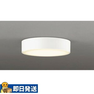 �����I�[�f���b�N OL291273LR ���^�V�[�����O���C�g �d���F ���M�����60W���� �� ��120mm �����FLED�ǖʁE�V��ʁE�X�Ζʎ�t���p