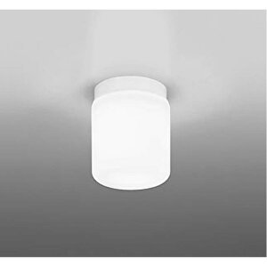 �I�[�f���b�N LED�o�X���[�����C�g �ǖʁE�V��ʁE�X�Ζʎ�t���p �����F LED�d����ʌ` (����E26) ���M�����60W���� �񒲌� �h���^ �˂����� OW269045NR