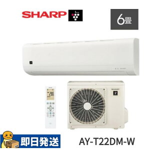 �����y3�����Z�[���I�z�V���[�v AY-T22DM-W ���[���G�A�R�� 6���p �v���Y�}�N���X�^�[7000 �P��100V DM�V���[�Y 2025�N���f��