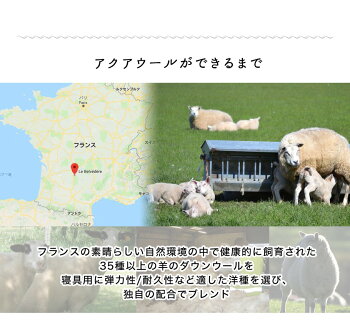 アクアウールベッドパット敷きパッドセミダブルリバーシブル洗える羊毛日本製ベッドパッドフランス産ウール使用メッシュパイル生地両面仕様備長炭入り清潔安心マットレスカバーシーツベットパット