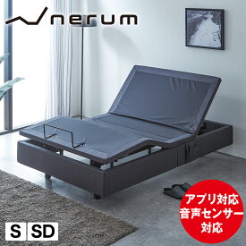 【ポイント10倍★27日9:59まで】 電動ベッド 2モーター 睡眠センサー nerum 睡眠スコア スマホ対応 アプリ対応 USBポート 静音 シングル セミダブル 高さ調整 足元照明LED付 ワイヤレスリモコン付 ITE-003 app ネルム