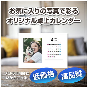 IWiJ_[ 1000 J_[ ʐ^[] LO ̓ 蕨 Mtg v[g ʐ^   ̓ J_[쐬