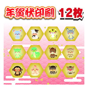 N 12+8 i N͂  ͂ ZȂ