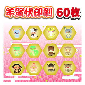 N 60+8 i N͂  ͂ ZȂ