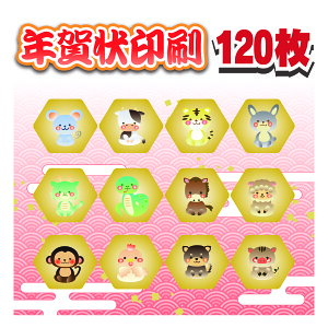 N 120+8 i N͂  ͂ ZȂ