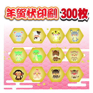 N 300+8 i N͂  ͂ ZȂ