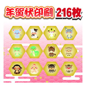 N 216+8 i N͂  ͂ ZȂ