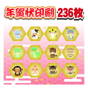 N 236+8 i N͂  ͂ ZȂ