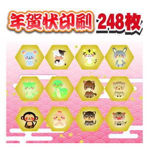 N 248+8 i N͂  ͂ ZȂ