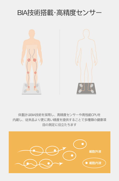 2021高い素材 OMRON 体重体組成計 カラダスキャン カラダチャート 機能搭載 HBF-710-J mhurecc.gov.jm