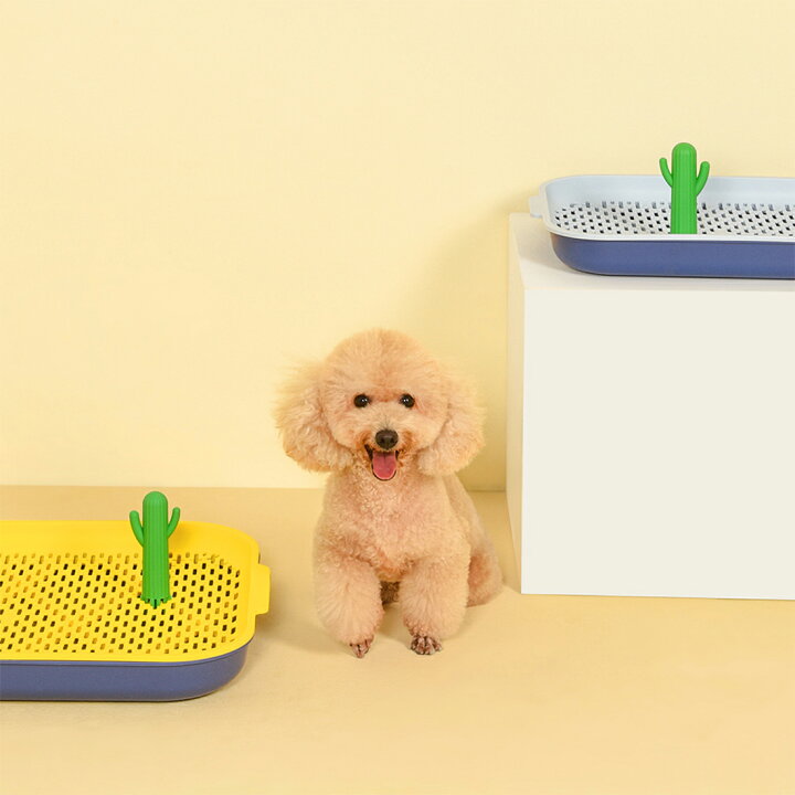 人気商品 犬トイレ 犬 トイレ トレー おしゃれ トイレトレーニング ワイド 幅49 7cm mサイズ スノコ付き フチもれ防止 ふち漏れ Lcd Media Com 人気商品 犬トイレ 犬 トイレ トレー おしゃれ トイレトレーニング ワイド 幅49 7cm mサイズ スノコ付き フチもれ防止 ふち漏れ Lcd Media Com