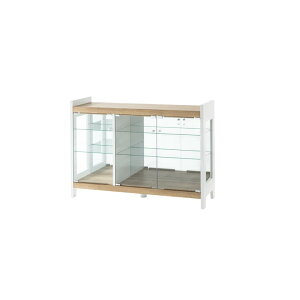 ySiɎg11%offN[|!!z fBXvCbN 120cm rO[ RNVP[X  KXP[X [^Cv LED_ECgt wʃ~[ KX I wʕ