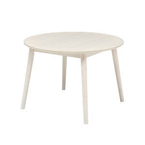 _CjOe[u Pi 4l|  Jg[ ~` ی^ ~ 105cm 4lp 4{r ؐ ؖڒ JtF Vv k i` e[û He[u ۃe[u zCg 