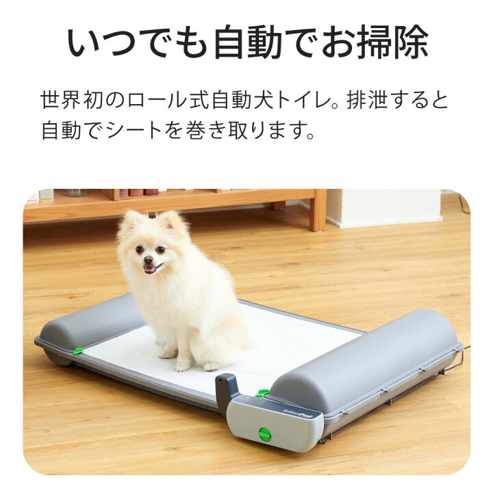 撮影サンプル品】ブリリアントパッドSMART【犬トイレ】※クリーニング  