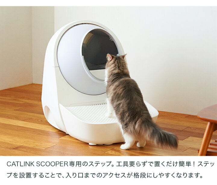 楽天市場】【OFT】 CATLINK SCOOPER 専用ステップ(グレー/ホワイト 