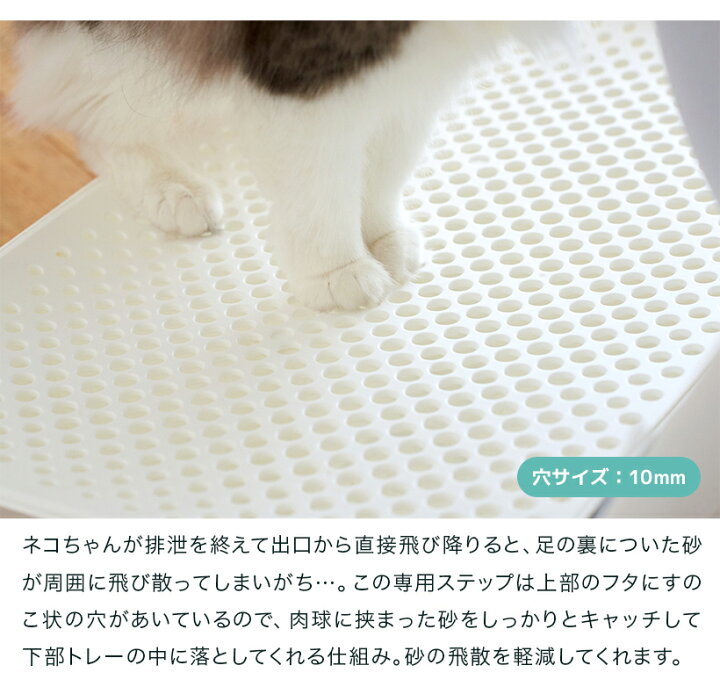 楽天市場】【OFT】 CATLINK SCOOPER 専用ステップ(グレー/ホワイト 
