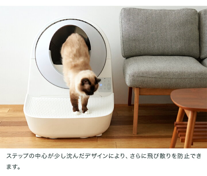 楽天市場】【OFT】 CATLINK SCOOPER 専用ステップ(グレー/ホワイト 
