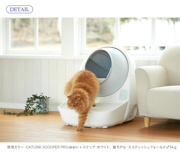 楽天市場】【OFT】 CATLINK SCOOPER 専用ステップ(グレー/ホワイト 