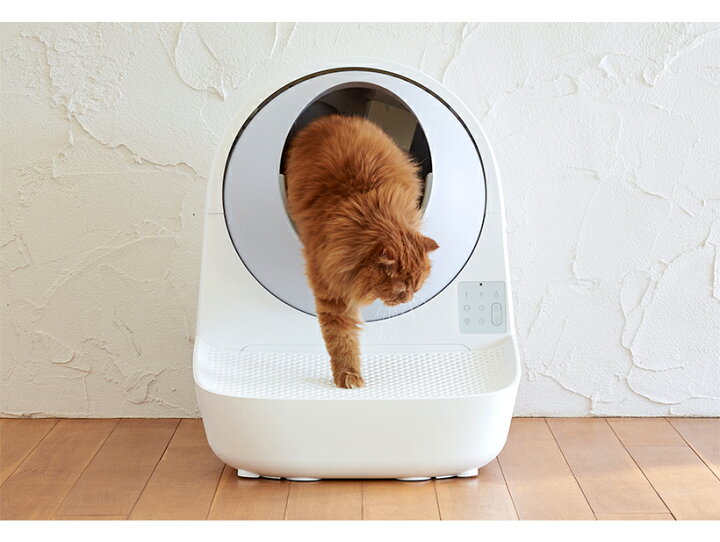 楽天市場】【OFT】 CATLINK SCOOPER 専用ステップ(グレー/ホワイト 