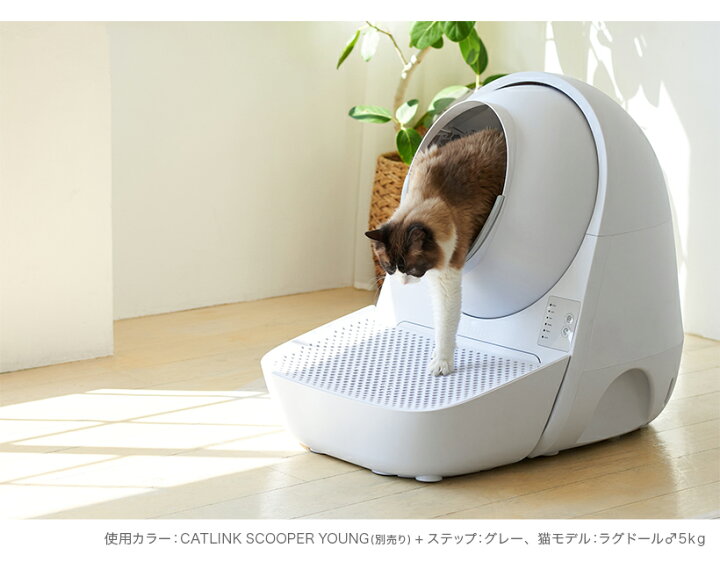 楽天市場】【OFT】 CATLINK SCOOPER 専用ステップ(グレー/ホワイト 
