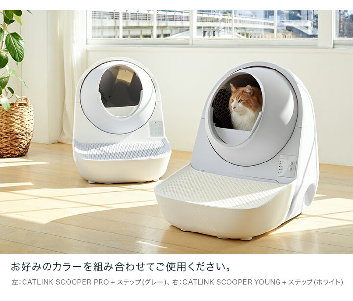 楽天市場】【OFT】 CATLINK SCOOPER 専用ステップ(グレー/ホワイト 