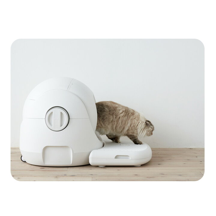 楽天市場】【OFT】 CATLINK SCOOPER SE /SE Lite 専用ステップ トイレ 
