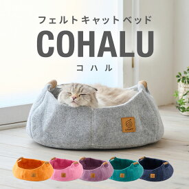 【お得なクーポン配布中~11/16】 フェルトキャットベッド COHALU　[コハル ペット 猫 犬 ハウス クッション ねこ おしゃれ 小型犬 ウール 白 かわいい 涼しい フェルト 暖かい]