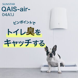 yOFTz ےEL@ SUNSTAR QAIS -air- 04A1J L ybg  lR gC L  C@ Ǌ| ɂ jIC TX^[   OFT tB^[ RpNg É ȃGl gC z