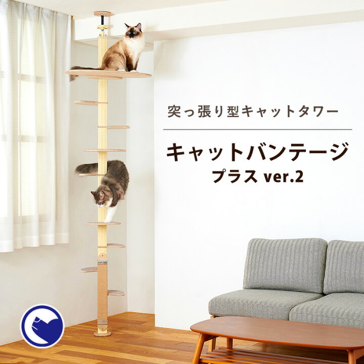 楽天市場 ﾏﾗｿﾝ限定ﾎﾟｲﾝﾄup キャットバンテージ プラス Ver2 猫 ねこ 爪とぎ 大型 木製 ポール キャットタワー おしゃれ シンプル スリム おすすめ 人気 突っ張り つっぱり Oft Store 楽天市場店