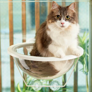 猫 窓 ベッドの通販 価格比較 価格 Com